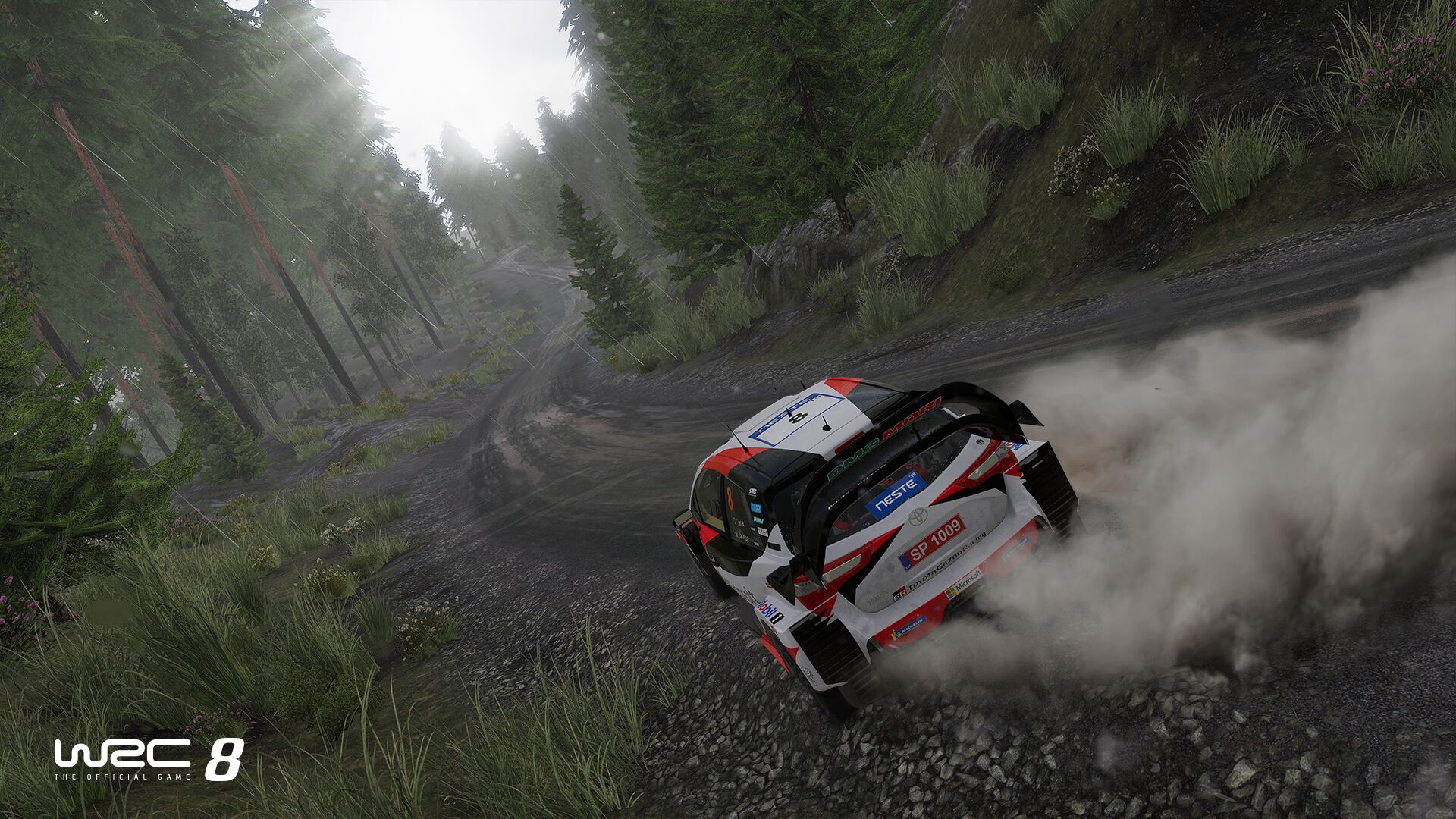WRC 8 review - Team VVV